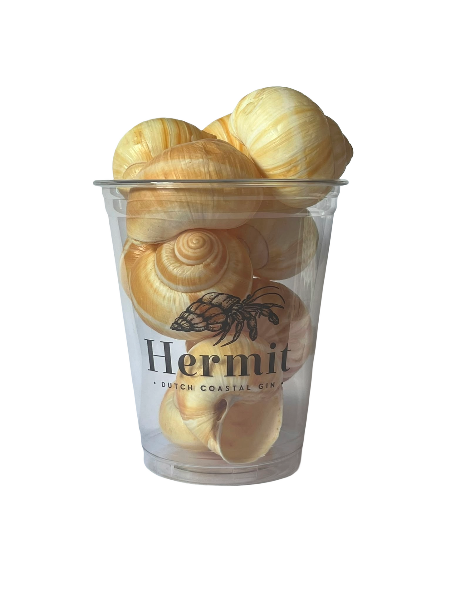 Escargots (empty escargot shells 6 pieces)