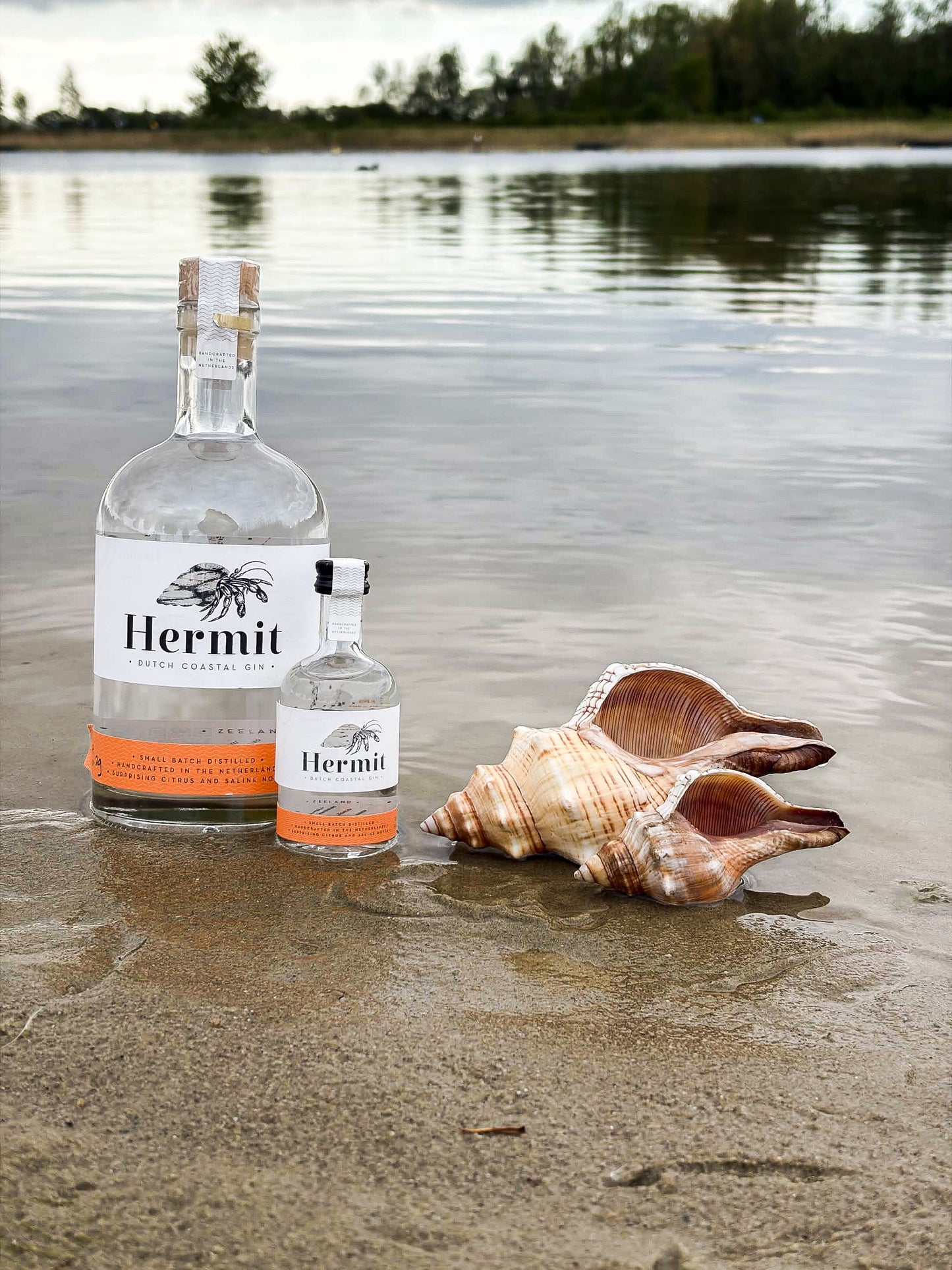 Hermit Shell Original